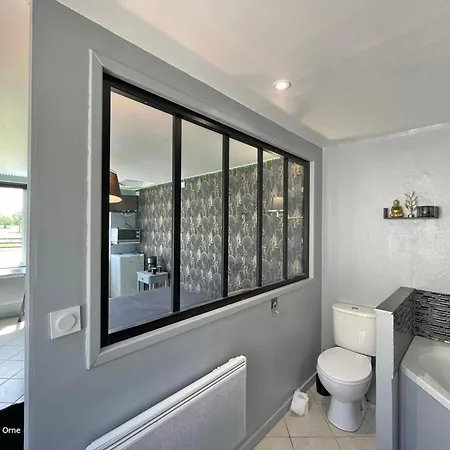 Grande Avec Studio, Nature, Confort Et Loisirs A 5 Km, 4 Chambres, Jardin Clos - Fr-1-497-182 Апартаменты *