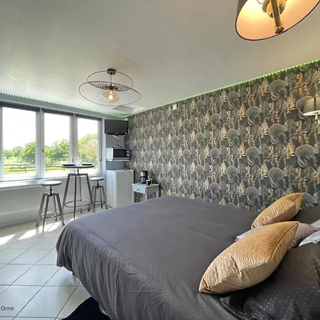 Grande Avec Studio, Nature, Confort Et Loisirs A 5 Km, 4 Chambres, Jardin Clos - Fr-1-497-182