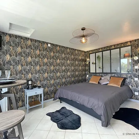 Grande Avec Studio, Nature, Confort Et Loisirs A 5 Km, 4 Chambres, Jardin Clos - Fr-1-497-182 Апартаменты *