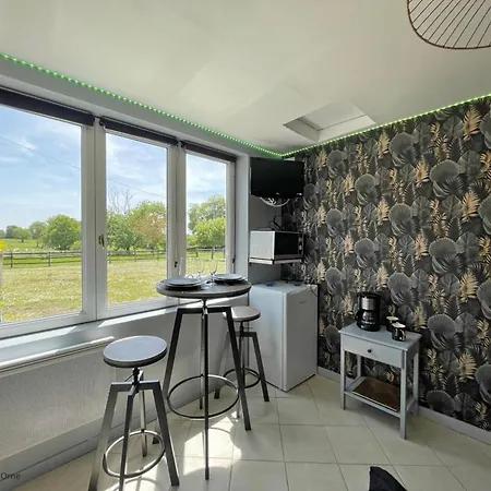 Grande Maison Familiale En Campagne Avec Wifi Et Animaux Acceptes - Fr-1-497-182 *