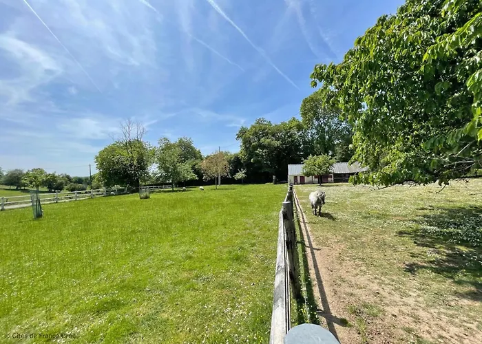 Daire Grande Maison Familiale En Campagne Avec Wifi Et Animaux Acceptes - Fr-1-497-182