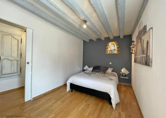 Grande Maison Familiale En Campagne Avec Wifi Et Animaux Acceptes - Fr-1-497-182 * La Gonfriere