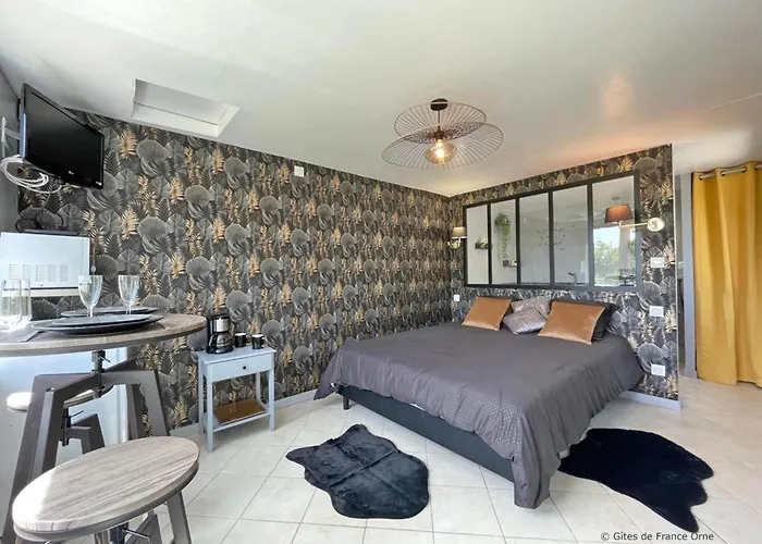 Grande - 10 Pers. - Fr-1-497-182 Apartment *