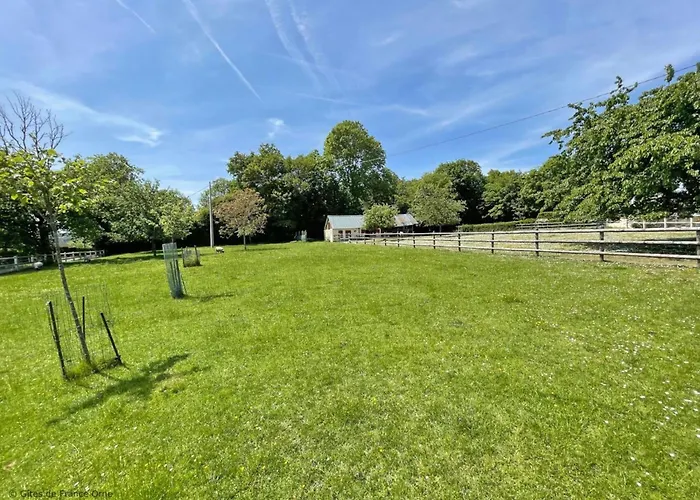 Grande Maison Familiale En Campagne Avec Wifi Et Animaux Acceptes - Fr-1-497-182 * La Gonfriere