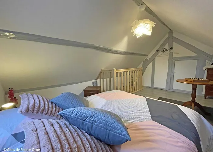 Daire Grande Maison Familiale En Campagne Avec Wifi Et Animaux Acceptes - Fr-1-497-182 La Gonfriere